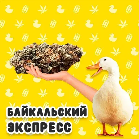 БАЙКАЛЬСКИЙ ЭКСПРЕСС 🥦▐ 🥦Природная мощь